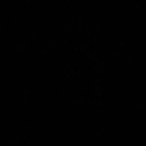 Meet your Posher, Armando